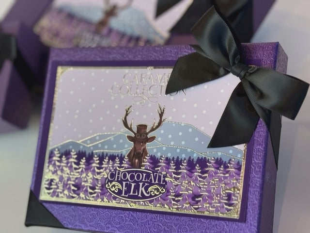 21 Piece Combo Chocolate Covered Salted Caramels